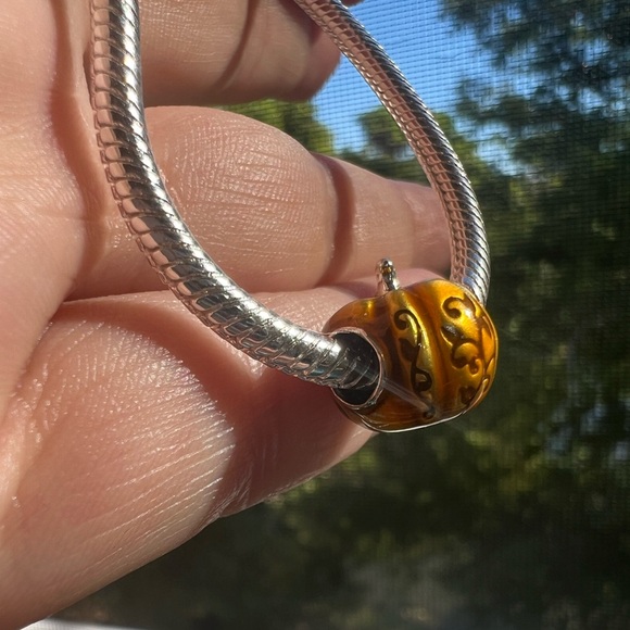 Pumpkin Charm - Picture 5 of 14